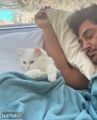 تصویر بندانگشتی از نسخهٔ مورخ ‏۱۷ مهٔ ۲۰۲۵، ساعت ۱۶:۴۲