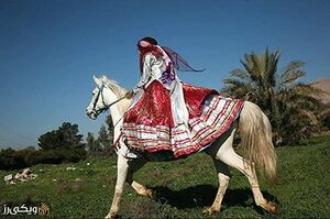 ۲لباس زنان کهگیلویه و بویراحمد۳.jpg